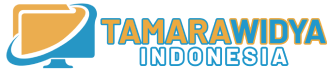 system logo